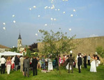 Les mariages champêtres