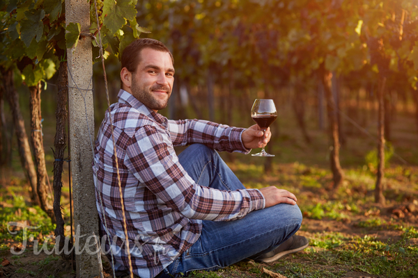 Comment organiser sa dégustation de vin pas à pas