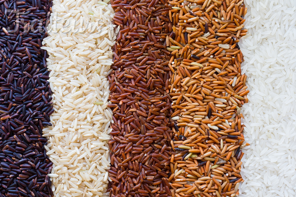 Les différentes variétés de riz