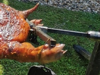 IMG_20210808_140617.jpg