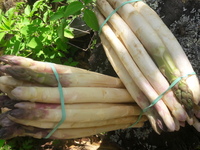 Produits de Saison