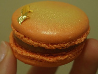 macaron chocolat-passion