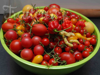 tomates cerises