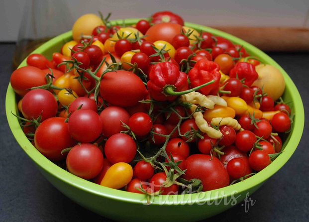 tomates cerises