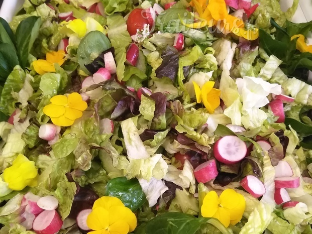 Salade mixte, de saison, fleurs comestibles