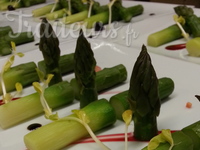 Asperge Bio