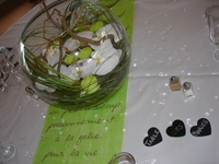 DSC00922.JPG