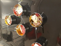 caquelon carpaccio de boeuf sur lit de caponatta