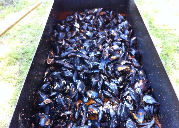 Brasucade de moules