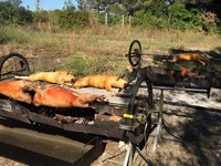 Repas 150 personnes 2 agneaux de Rodez et 3 porcelets de Lacaune