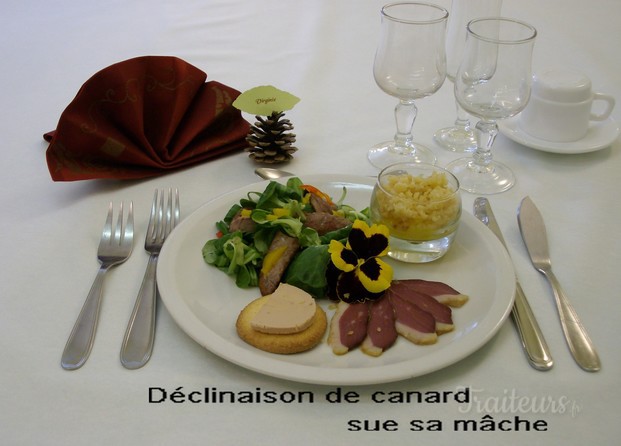 Déclinaison de canard