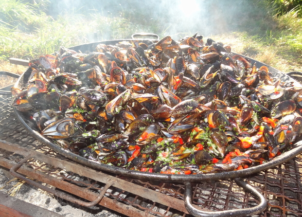 Brasucade de moules