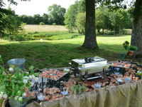 Buffet en pleine nature