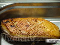 Magret de canard