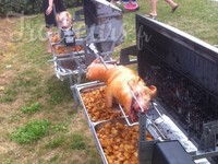 Cochon de lait