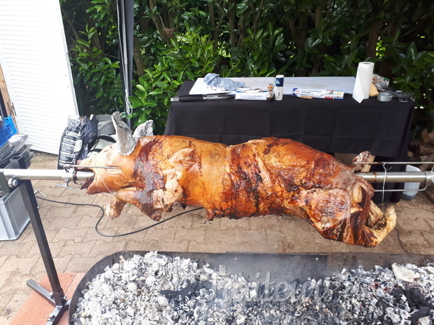 Le cochon grillé 