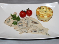 Plat 1